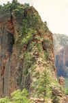 Zion National Park Zion